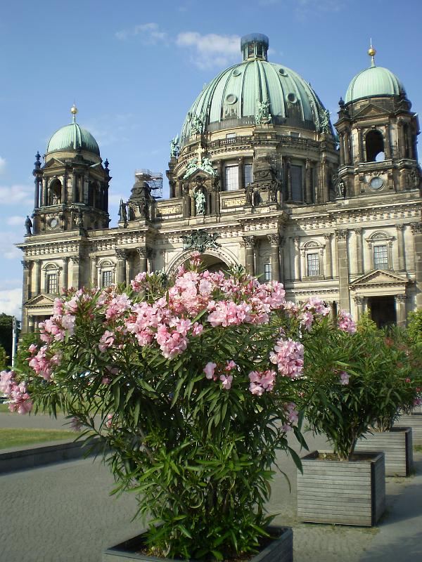 berlin 096.JPG - The Berliner Dom